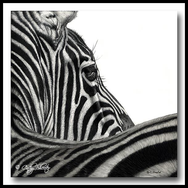 One of a Kind - Scratchboard