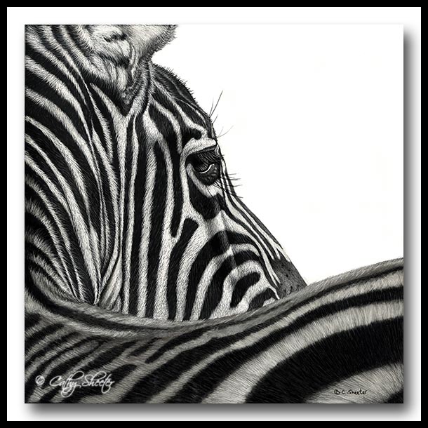 The Scratchboard Art of Cathy Sheeter