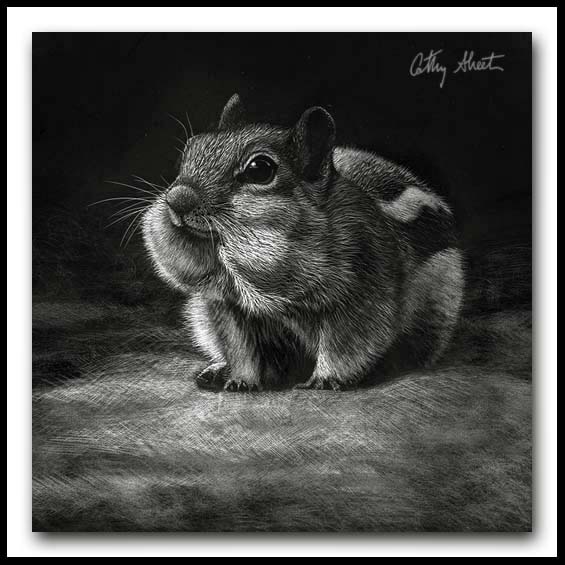 Peanut? What Peanut? - Scratchboard Chipmunk