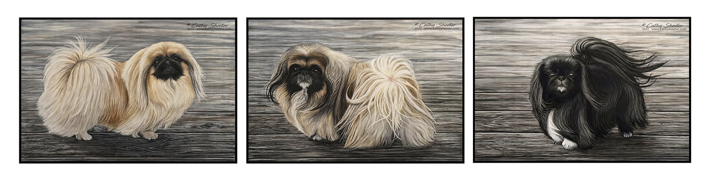 Pekinese Trio - Scratchboard