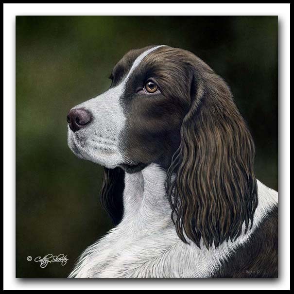 Pixel - Scratchboard Springer Spaniel