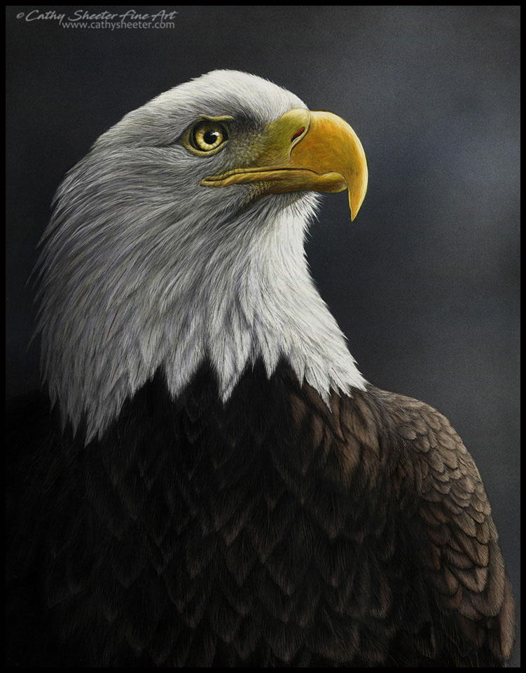 The Proud - Scratchboard Eagle