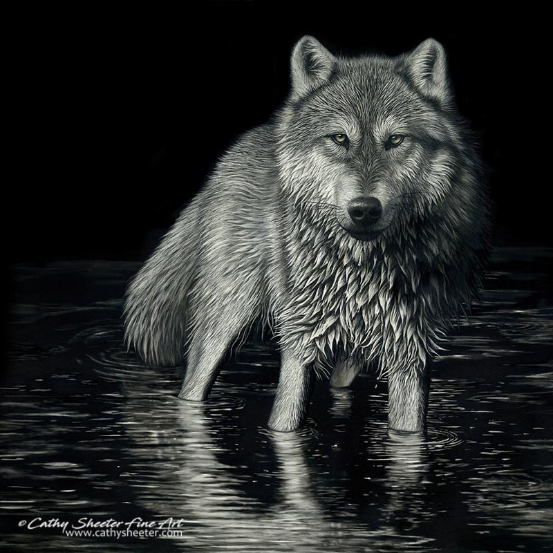 Scratchboard and Ink