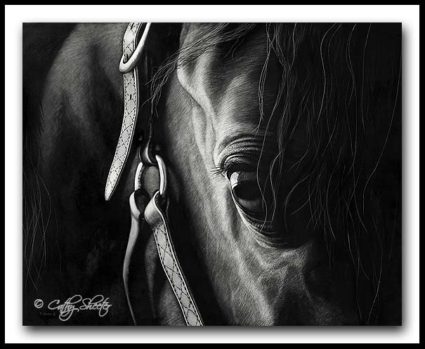 Scratchboard Illustration of a Horse, Tutorial 