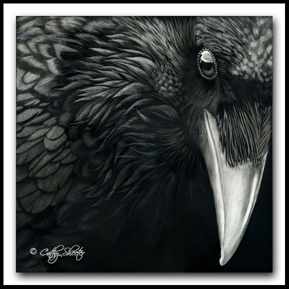 Common Raven - Scratchboard Art