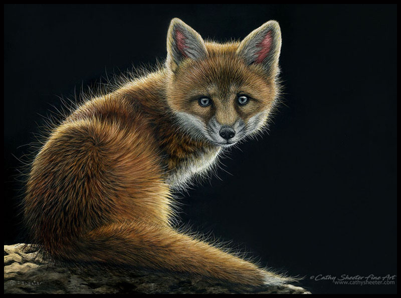 Scratchboard Art of Cathy Sheeter