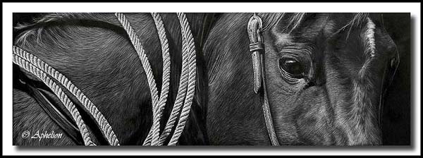 Roping Horse - Scratchboard Art