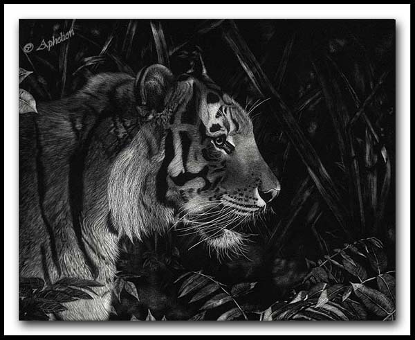 Rustle In The Brush - Bengal Tiger