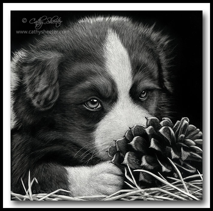 Scratchboard Art of Cathy Sheeter