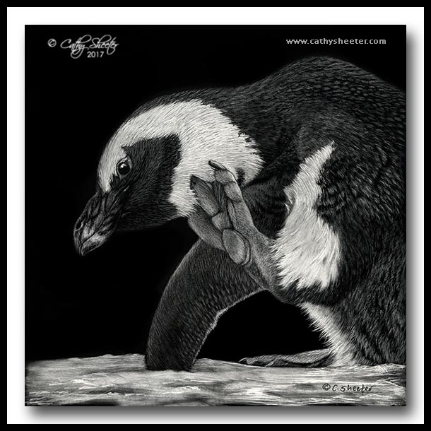 Scratchboard Art of Cathy Sheeter