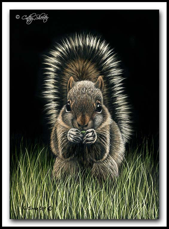 Scratchboard Art of Cathy Sheeter