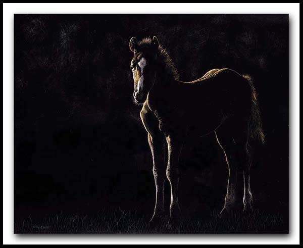 Simple Pleasure - Scratchboard and In k Horse