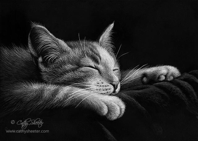 Sleepy Time - Scratchboard