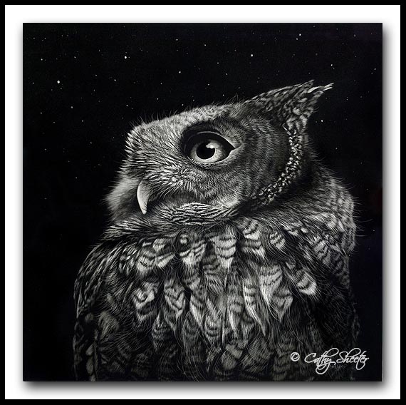 'Sounds In The Night' -Screech Owl Scratchboard Art