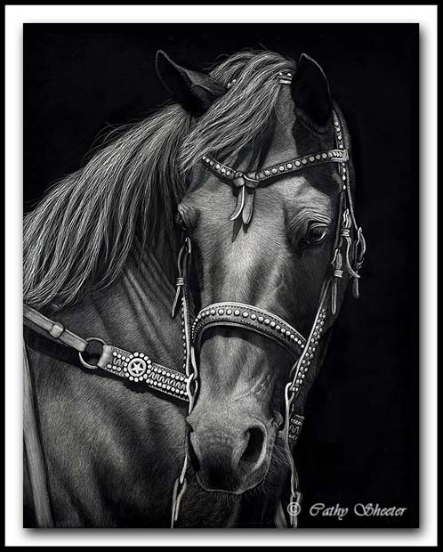 Star Studded - American Quarter Horse