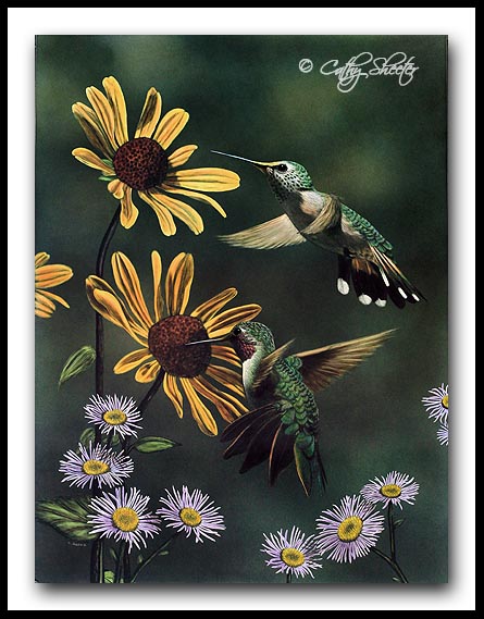 Summer Splendor- Scratchboard and Ink Hummingbirds
