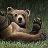 Belly Up - Oil Grizzly Bear