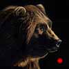 Bruiser - Scratchboard Grizzly Bear Bruiser - Scratchboard Grizzly Bear