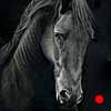 Fantasy - scratchboard art Fantasy - scratchboard art