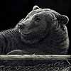 Lazy Boy - Scratchboard Grizzly Bear Lazy Boy - Scratchboard Grizzly Bear
