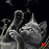 Make A Wish - Scratchboard Cat