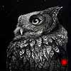 Sounds In The Night - Scratchboard Eastern Screech Owl