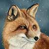 Winter Storm Watch - Clayboard fox