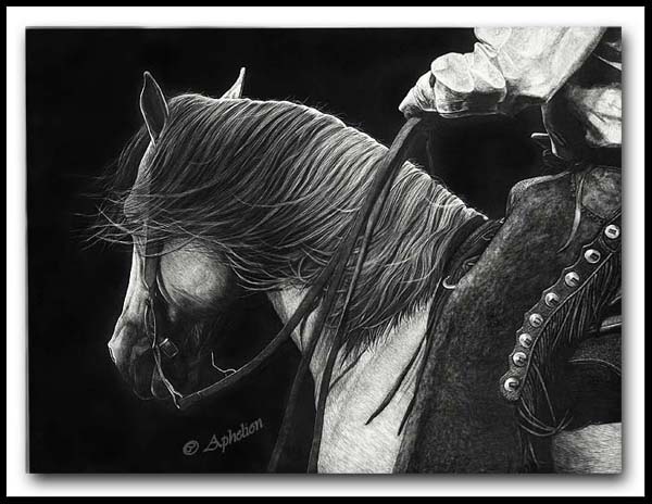 Tailwind Scratchboard Horse