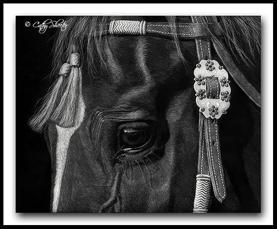 Tassels - Scratchboard Quarter Horse