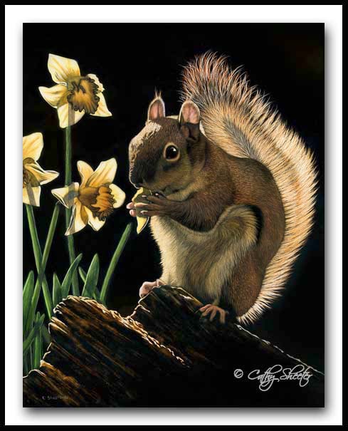 A Taste of Spring- Scratchboard Red Squirrel