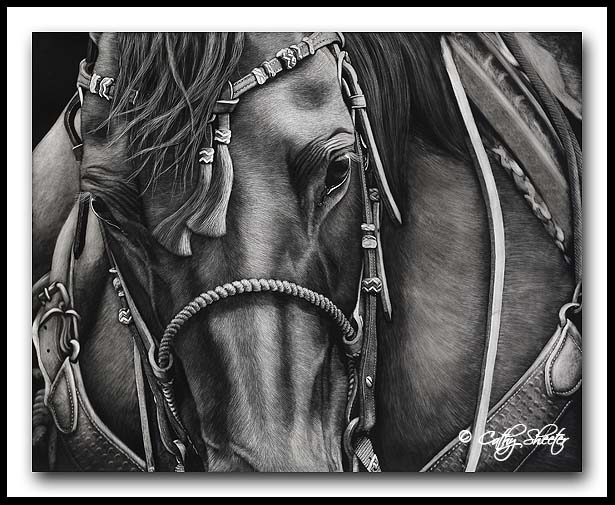 Trail Boss- Quarter Horse Scratchboard