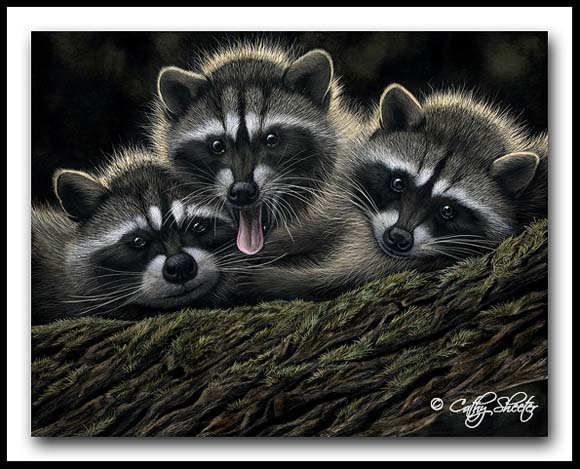 Tres Banditos - Scratchboard Art