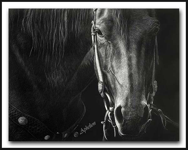 What Next - Scratchboard Art Horse