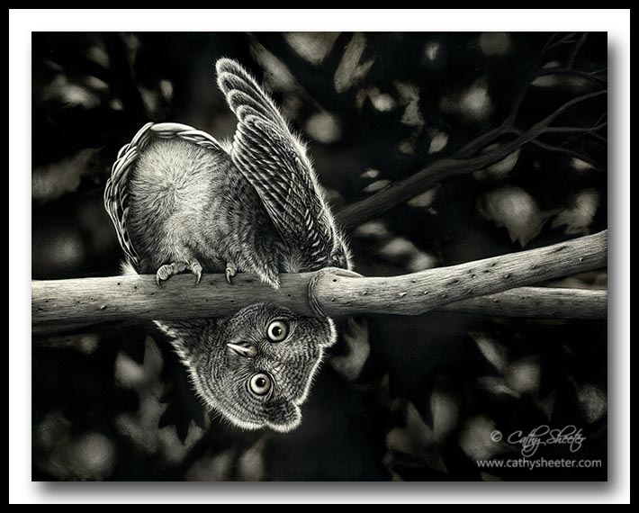 Whooo Goes There - Scratchboard