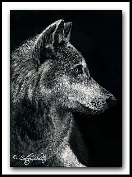 Wolf- Scratchboard