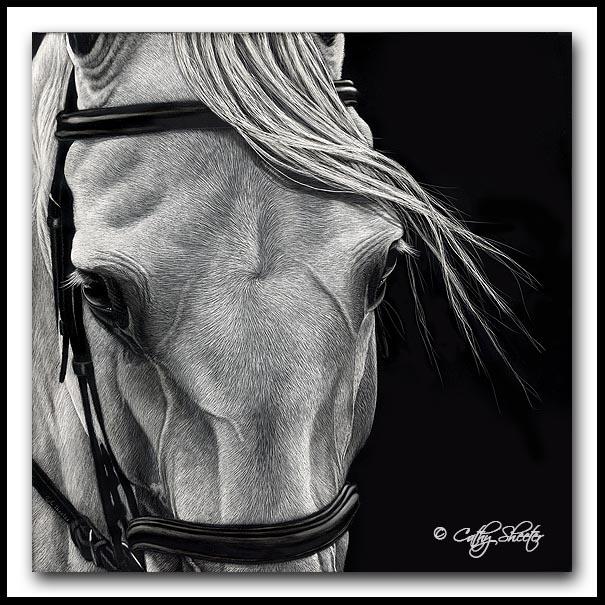 The Scratchboard Art of Cathy Sheeter