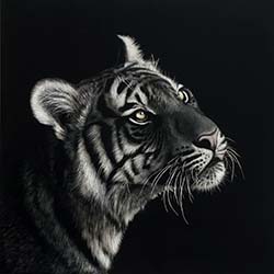 Other Wildlife Art